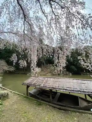 曹源寺(岡山県)