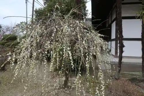 大御堂寺（野間大坊）(愛知県)
