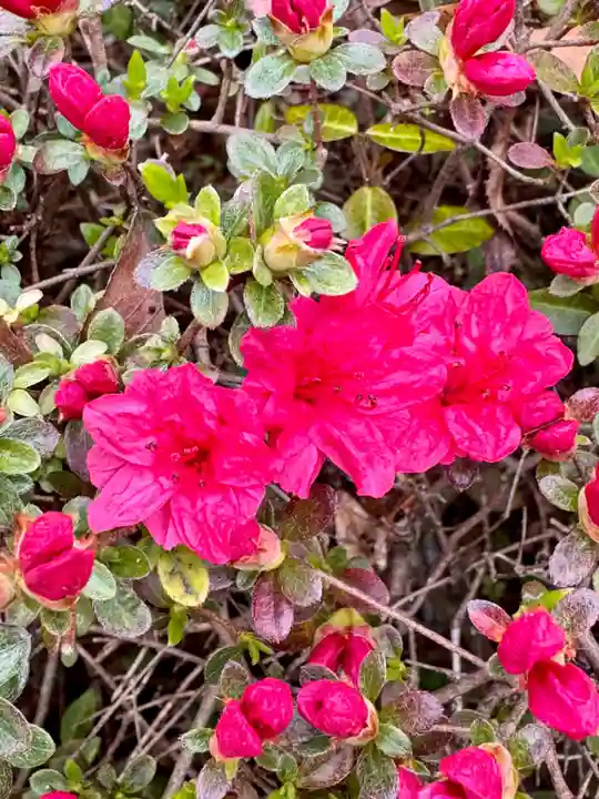 芳養八幡神社(和歌山県)