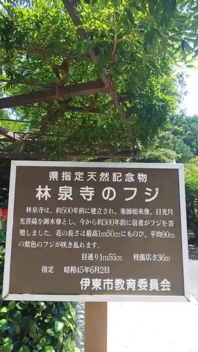 林泉寺のその他建物