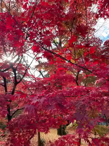禅林寺（永観堂）(京都府)