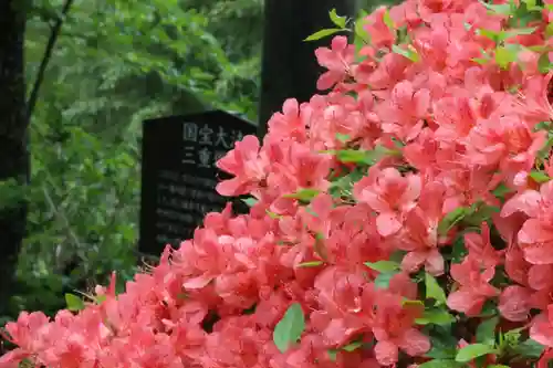 国宝 大法寺の庭園