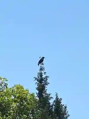 貴船神社(岡山県)