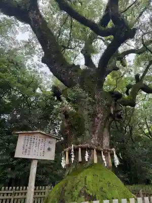 熱田神宮の{uncategorized: "未分類", other: "その他", undefined: "問題あり", building: "その他建物", grave: "お墓", sacred_gate: "鳥居", guardian: "狛犬", statue: "像", buddha: "仏像", history: "歴史", nature: "自然", garden: "庭園", animal: "動物", pagoda: "塔", temizu: "手水舎", mountain_gate: "山門・神門", sanctuary: "本殿・本堂", subordinate: "末社・摂社", art: "芸術", scenery: "景色", jizo: "地蔵", ema: "絵馬", goshuin: "御朱印", omikuji: "おみくじ", items: "授与品その他", amulet: "お守り", goshuincho: "御朱印帳", eats: "食事", festival: "お祭り", votive_dance: "神楽", shichigosan: "七五三参", wedding: "結婚式", experience: "体験その他", initially: "初詣", around: "周辺", anti_infection: "感染症対策"}