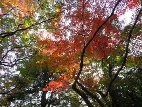 大正寺の庭園