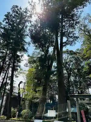 射山神社(三重県)