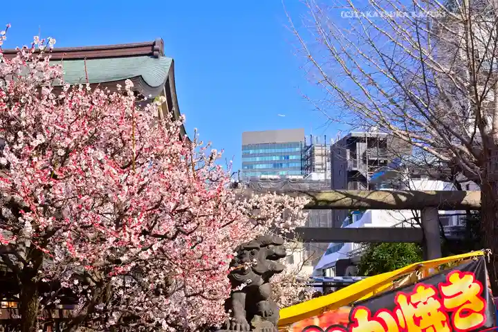 湯島天満宮(東京都)