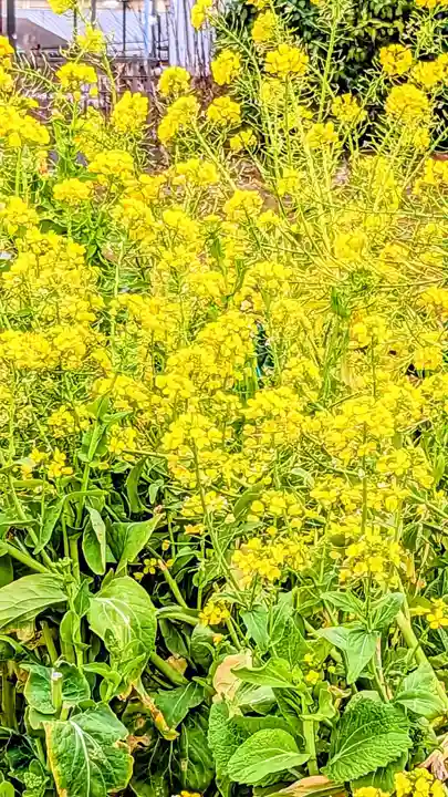 十二社神社の自然