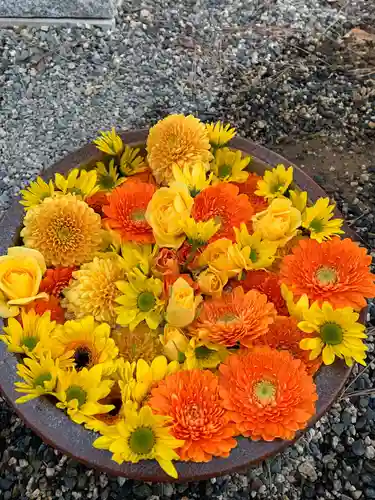 彌都加伎神社の手水舎