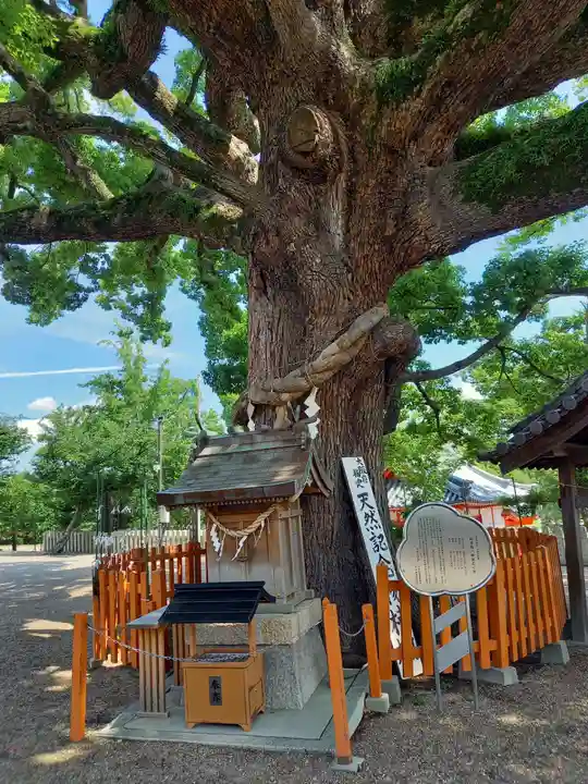 百舌鳥八幡宮の自然