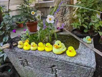 元祇園梛神社・隼神社(京都府)