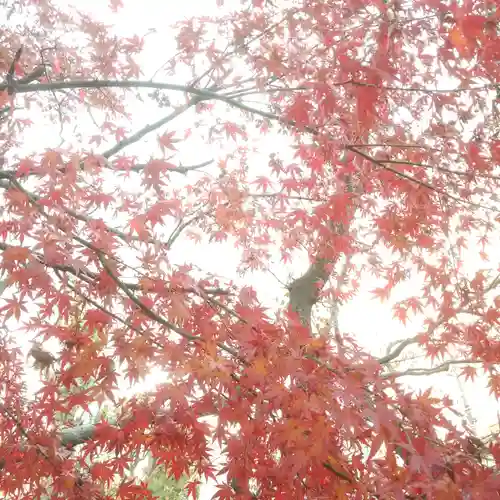 香取神社の自然