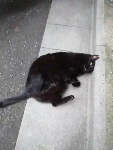 小野照崎神社の動物