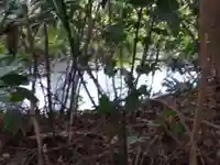 山王神社の自然