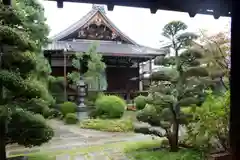 蓮光寺の本殿