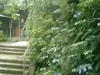 安國論寺(安国論寺)の自然