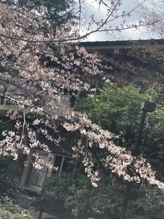阿佐ヶ谷神明宮(東京都)