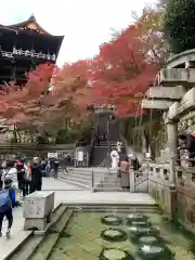 清水寺(京都府)