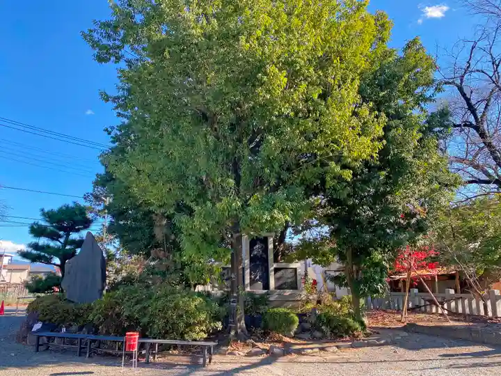 玉諸神社(山梨県)
