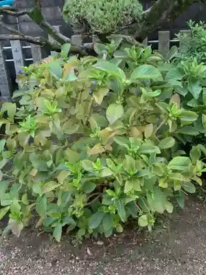 堤根神社(大阪府)