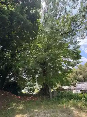 須佐神社(広島県)
