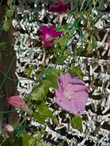 神炊館神社 ⁂奥州須賀川総鎮守⁂(福島県)