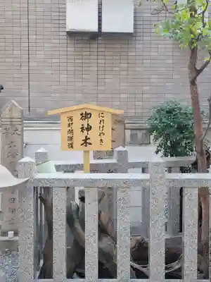 さいの木神社(大阪府)