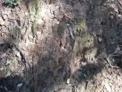 御嶽神社/駒形神社の自然