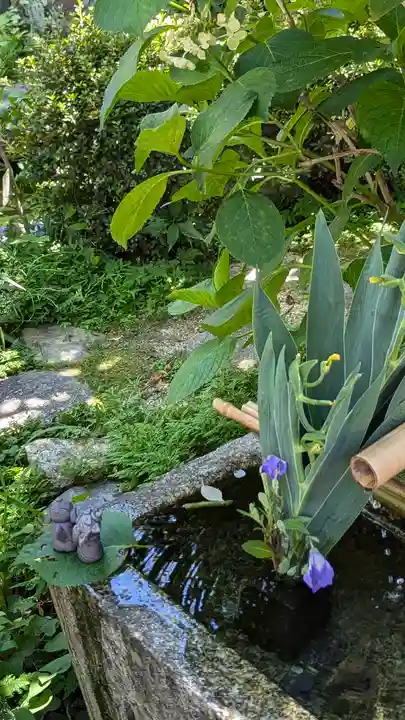 宝蔵寺(京都府)