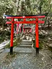 出雲大神宮の鳥居