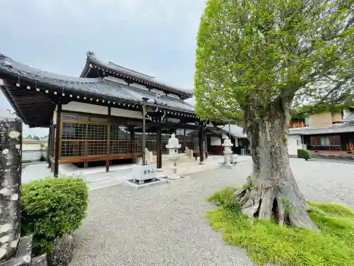 長福寺の{uncategorized: "未分類", other: "その他", undefined: "問題あり", building: "その他建物", grave: "お墓", sacred_gate: "鳥居", guardian: "狛犬", statue: "像", buddha: "仏像", history: "歴史", nature: "自然", garden: "庭園", animal: "動物", pagoda: "塔", temizu: "手水舎", mountain_gate: "山門・神門", sanctuary: "本殿・本堂", subordinate: "末社・摂社", art: "芸術", scenery: "景色", jizo: "地蔵", ema: "絵馬", goshuin: "御朱印", omikuji: "おみくじ", items: "授与品その他", amulet: "お守り", goshuincho: "御朱印帳", eats: "食事", festival: "お祭り", votive_dance: "神楽", shichigosan: "七五三参", wedding: "結婚式", experience: "体験その他", initially: "初詣", around: "周辺", anti_infection: "感染症対策"}