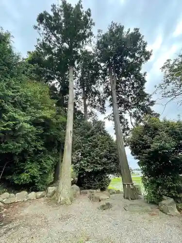 諸木神社(滋賀県)
