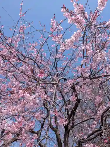 天徳寺(神奈川県)