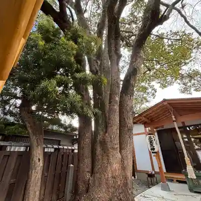 万代寺(大阪府)