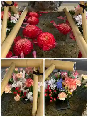 舞子六神社/まいこむの宮の手水舎