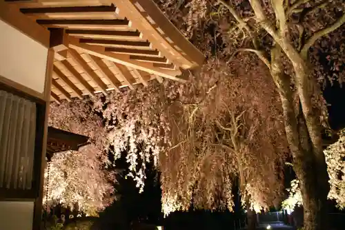 赤門の寺　法蔵寺(栃木県)