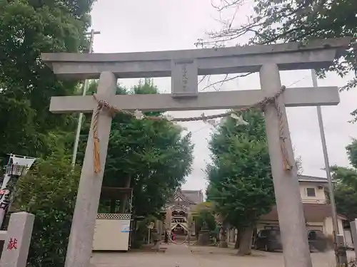 若宮八幡宮 の鳥居