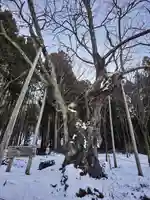 王子神社(福島県)