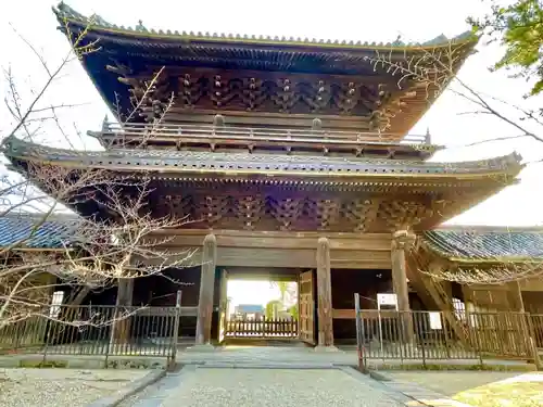 大樹寺（松安院大樹寺）の山門