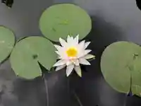 平安神宮(京都府)