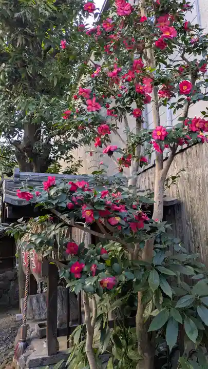 宝蔵寺(京都府)