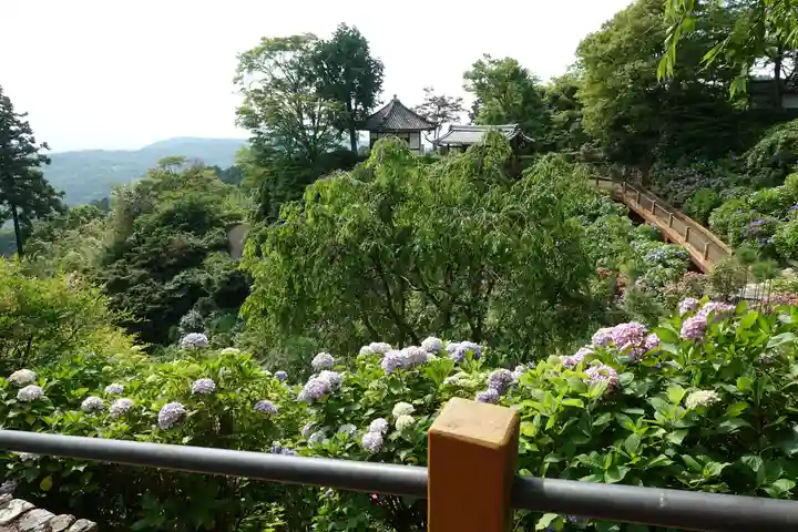 善峯寺の庭園
