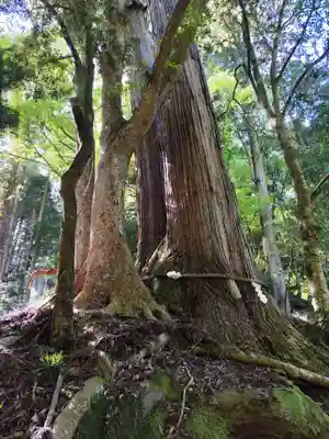貴船神社結社(京都府)