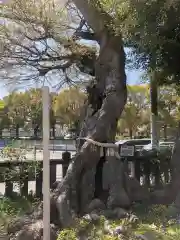 水堂須佐男神社(兵庫県)