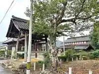 国分寺(福井県)