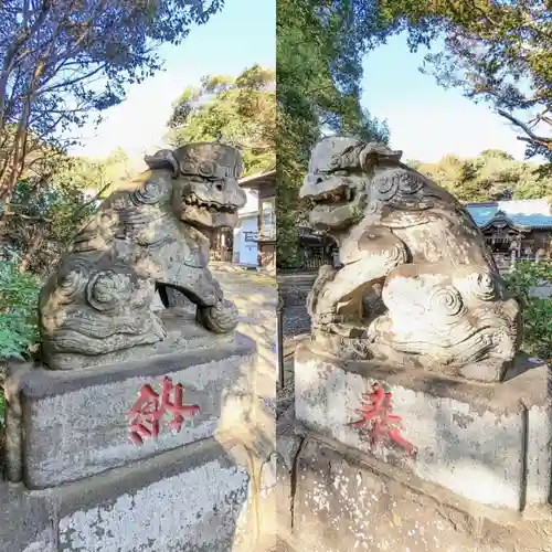 畑子安神社の狛犬