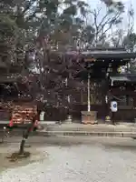 今宮神社の本殿・本堂