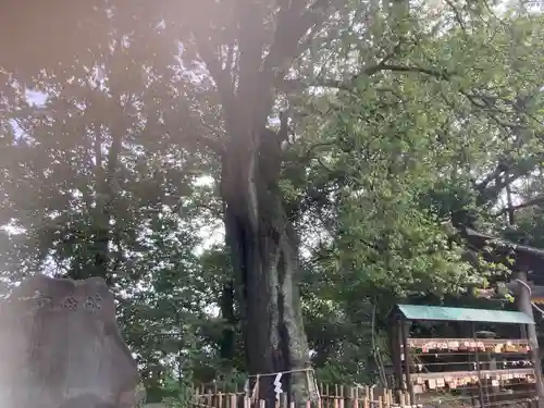 落合白山神社(東京都)