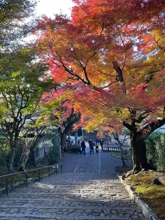 安楽寺(京都府)