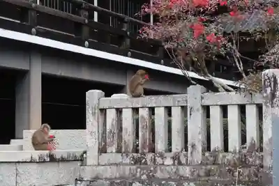 久遠寺(山梨県)